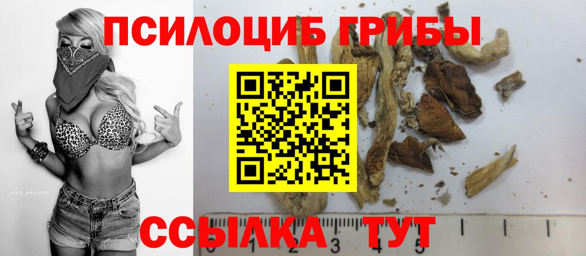 Псилоцибиновые грибы Cubensis  Вход с VPN  Сорочинск 